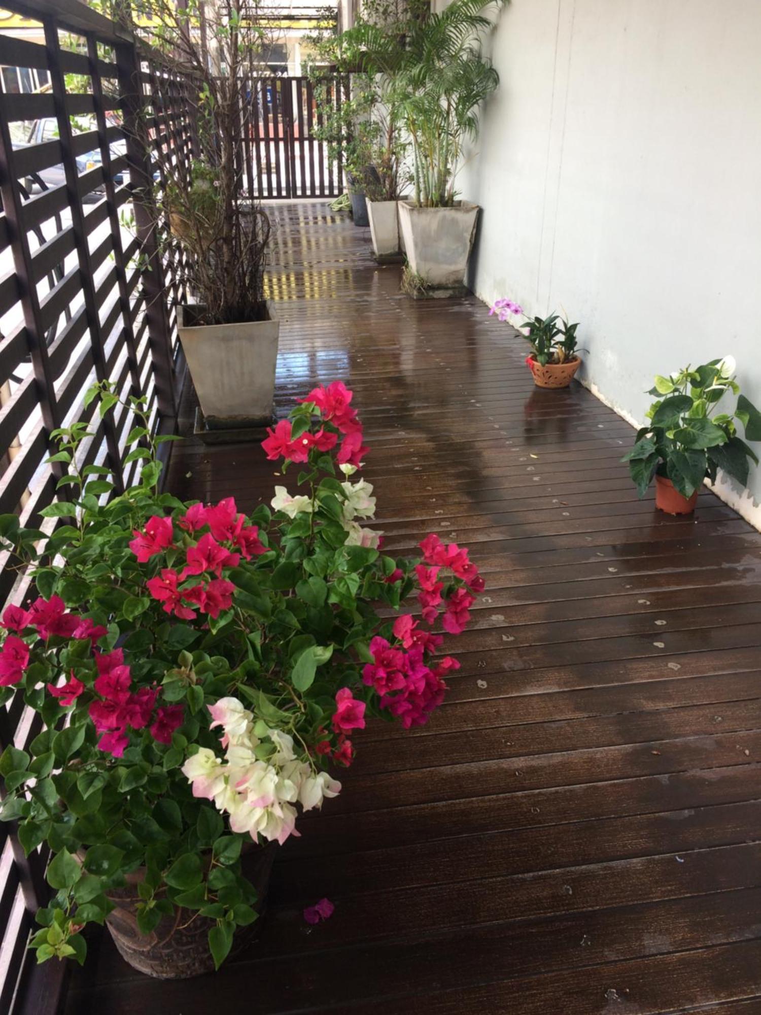 My Living Place Samui Apartment